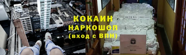 бошки Богданович